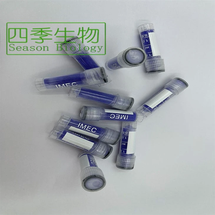 Kupferpeptid -GHK -Pulver
