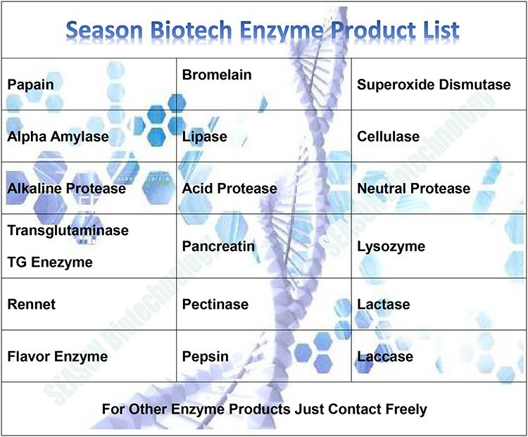 Enzyme List Enzyme List